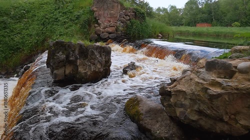 Turbulent water from a turbulent forest river, energetically flowing along a small stone cascade, creating white foam among the lush green vegetation on the river bank on a summer day Belarus Vyata Ri