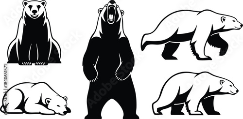 Line art polar bear set in multiple poses sitting front roaring standing walking lying side view stencil black and white vector icons bold silhouette close up
