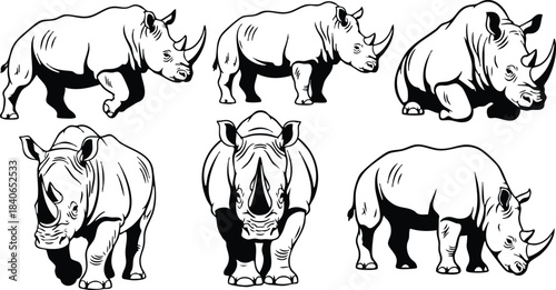 Line art detailed set of six rhinoceros sketches showing side front and three quarter views standing walking and lying down isolated black ink vector contour minimalist