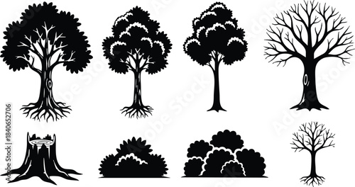 Silhouette vector tree set with varied species including oak maple leafless bare tree stump bushes sapling close up isolated black and white minimal flat design icons