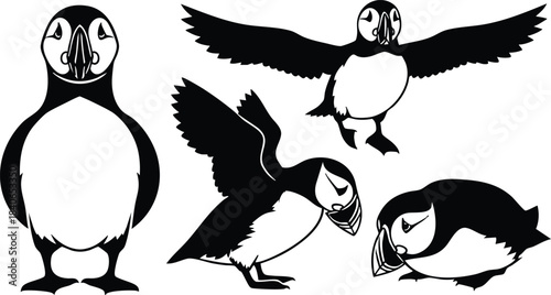 Line art puffins in four poses front facing flying feeding preening standing side view minimal black and white vector illustration flat design beak profile seabird coastal