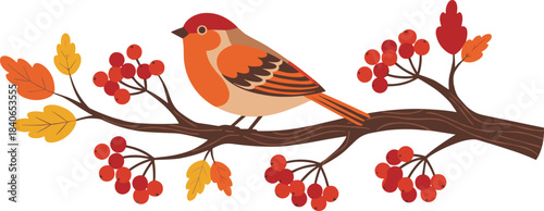 Cute Small Bird Sitting on a Mountain Ash Branch with Red Rowan Berries and Autumn Leaves, Flat Vector Illustration of Fall Nature Season, Harvest, or Thanksgiving Element.