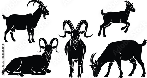 Silhouette vector set showing five mountain goat poses with center front facing horned goat standing jumping grazing lying and head lowered profile isolated black on white