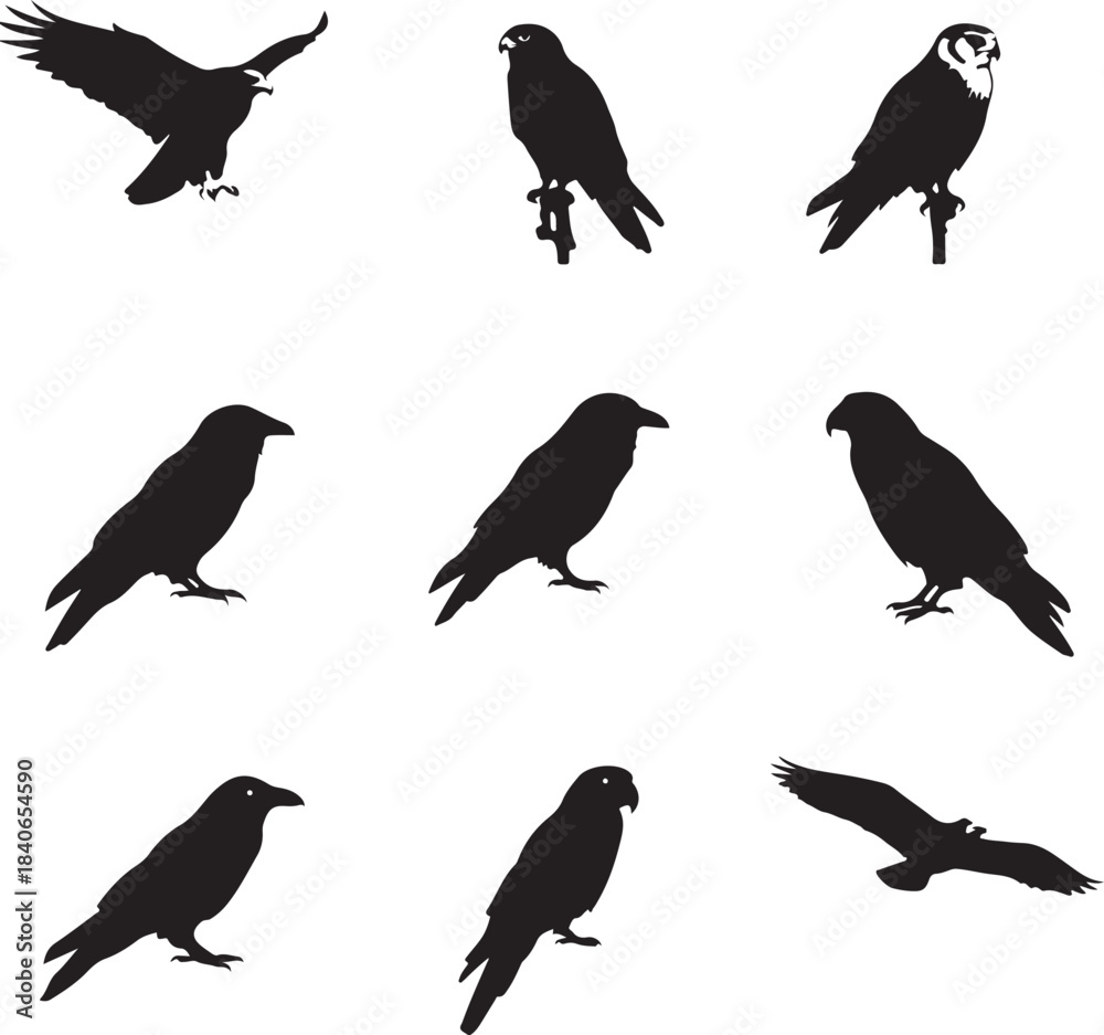 Obraz premium Collection of Bird Silhouettes in Various Poses