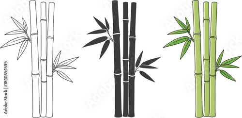 Bamboo stems with leaves in different styles isolated on white background outline, silhouette, and colored hand drawn vector illustration of bamboo
