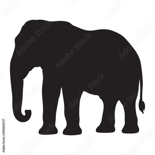 Elephant silhouette vector illustration of a standing wild animal on a white background