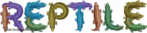 Rainbow lizards form letters spelling reptile.