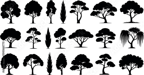 Collection of Tree Silhouettes in Various Shapes and Styles