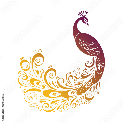 Peacock feather vector illustration with floral and decorative elements