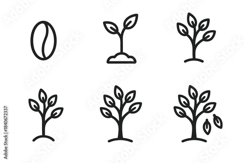 Tree Growth Icons. Forest Growth Progression linear set: seed kernel, tiny sprout, small stem, adolescent tree, established tree, seasonal leaf drop.