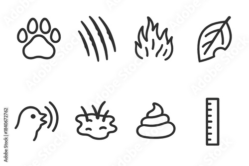 Animal Track Icons. Animal sign identification linear set: paw imprint, claw mark, shed fur tuft, nibble mark on leaf, bird call icon, soil disturbance, droppings clue, track ruler