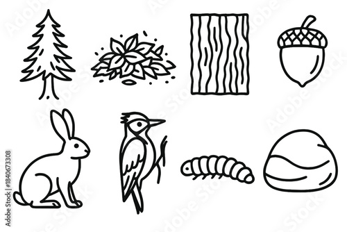 Woodland Icon Collection. Woodland nature set linear set: cedar tree, leaf litter patch, bark texture piece, acorn, hare, woodpecker, caterpillar, forest stone.
