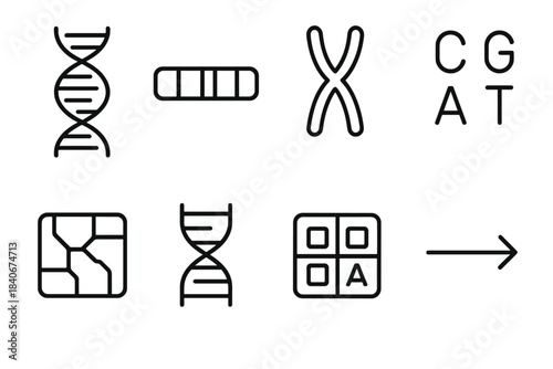 Genetic Blueprint Icons. Genetic Blueprint Set linear set: DNA helix, gene segment bar, chromosome pair, nucleotide bases, genome map tile, sequence ladder, codon block, heredity