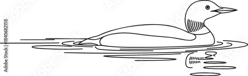 Continuous line drawing of common loon bird floating on water with reflection isolated vector illustration