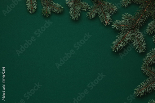 Green Christmas background with Christmas tree branches.