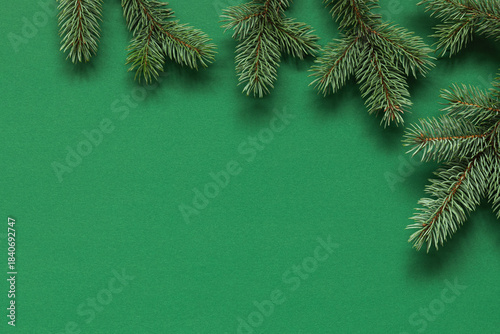Green Christmas background with Christmas tree branches.