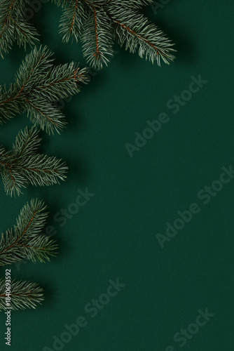 Green Christmas background with Christmas tree branches.