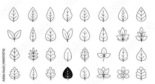 Minimalist outline leaf icons collection showing various plant foliage shapes and designs