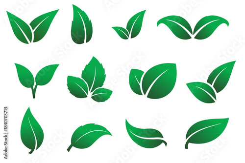 Set of green leaf isolated on transparent background eco friendly nature icon vector