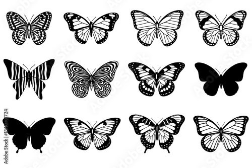 Set of various butterflies vintage outlines insect collection different forms wings