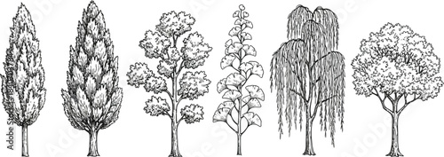 Various Hand-Drawn Tree Illustrations, Vector Botanical Collection on White Background for Design