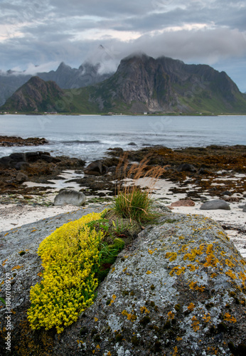 Lofoten islands landscape with fjord, mountains, and dramatic sky