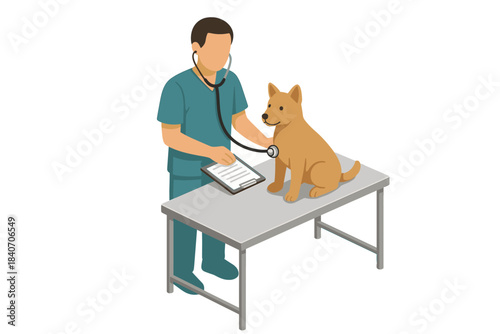 Veterinarian examining dog with stethoscope on table
