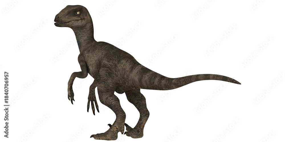 Fototapeta premium Velociraptor dinosaur in a dynamic pose