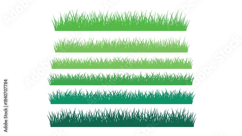 Collection of green grass stripes in different shades on white background