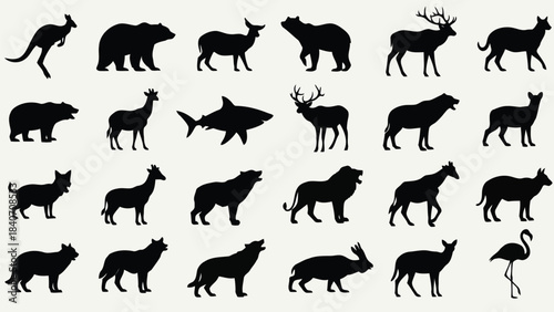 Collection of animal silhouettes on white background