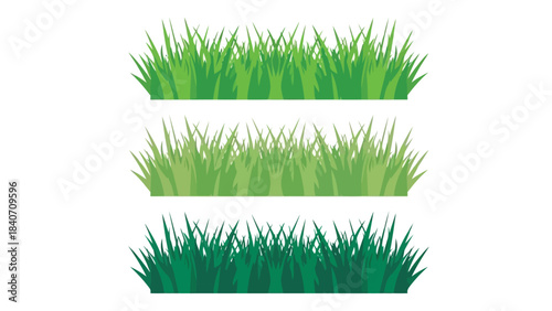Three shades of green grass on white background