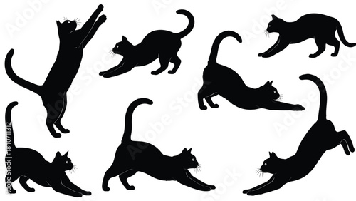 Eight black cats in various poses isolated on white background