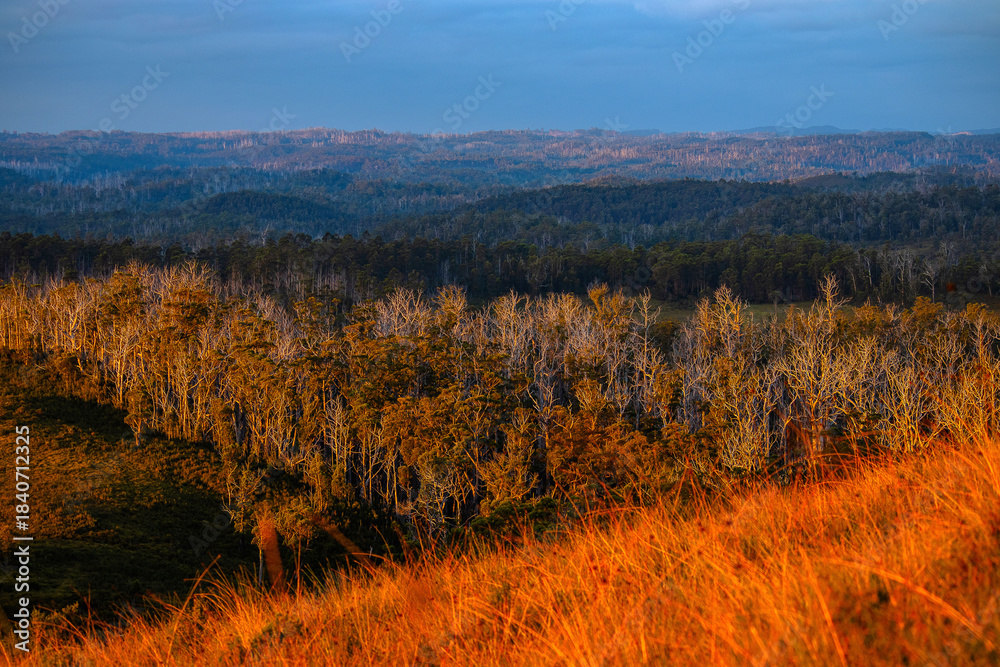 Fototapeta premium golden hour over the hills