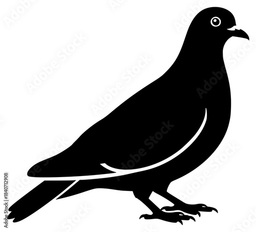 A black silhouette of a pigeon on a plain , bird, black, dive, illustration, pigeon, profile, stand, against transparent background