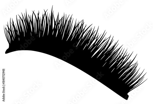 A black and white silhouette of a feather-like shape made of grass, black, broom, brush, comb, cosmetic, grass, illustration, lash, mascara, profile, against transparent background