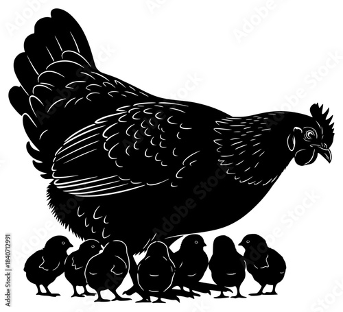 A black and white silhouette of a chicken and her chicks, bird, black, chicken, cock, hen, illustration, profile, stand, against transparent background