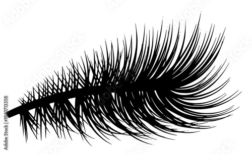 A black and white illustration of a feather-like object resembling a feather, black, brush, eye, eyebrow, eyeliner, illustration, lash, mascara, profile, stab, against transparent background