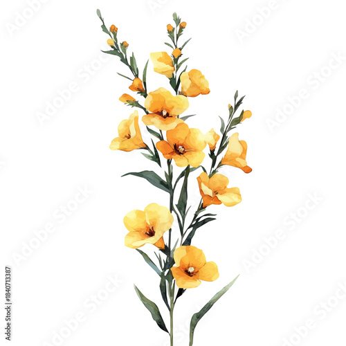 Monkey Flower Flower, illustration watercolor with dynamic strokes and balanced color harmony, isolated on a white background.