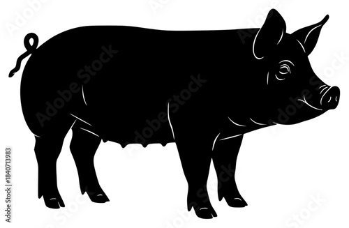 A black silhouette of a pig on a , animal, black, illustration, pig, profile, stand, against transparent background