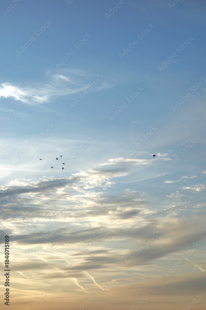 Fototapeta premium Sun lit ethereal white clouds on blue sky at sunset