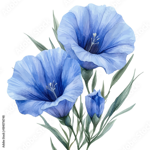 Lechenaultia Flower, refined watercolor illustration with luminous tones and soft layered brushwork, isolated on a white background.