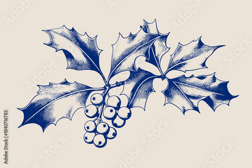 Vintage style illustration of a christmas festive holly branch