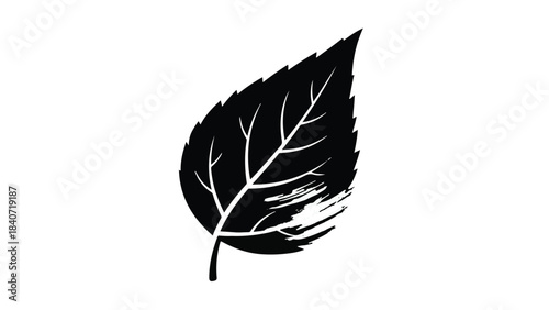 Black leaf silhouette isolated on white background, nature, eco, sustainability symbol, botanical illustration, simple elegant design element