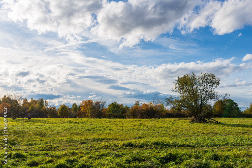 Fototapeta premium A wide open meadow glows with early autumn colors beneath a bright blue sky filled with layered clouds. The scene evokes freedom, calm nature, and seasonal beauty in an expansive rural landscape.