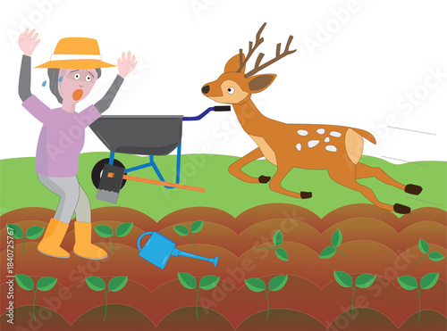 鹿と出会って驚く女性