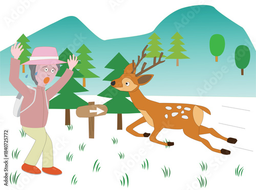 鹿と出会って驚く女性