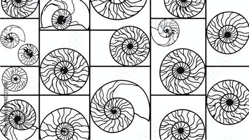 Black and white nautilus shell spiral pattern collage on white background with grid layout, abstract geometric design elements