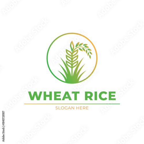 wheat rice logo design concept idea vector label circle