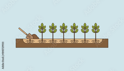 A series of illustrations showing different tree planting techniques such as trench planting and balledandburlapped trees for educational purposes.