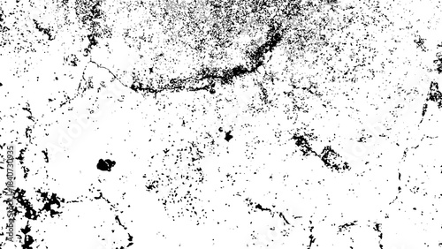 Dramatic black and white image of a majestic lion looking directly at the viewer